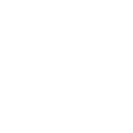 Borralheira