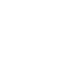 Bowbastic